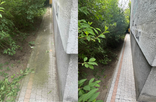 Czyszczenie Kostki Brukowej